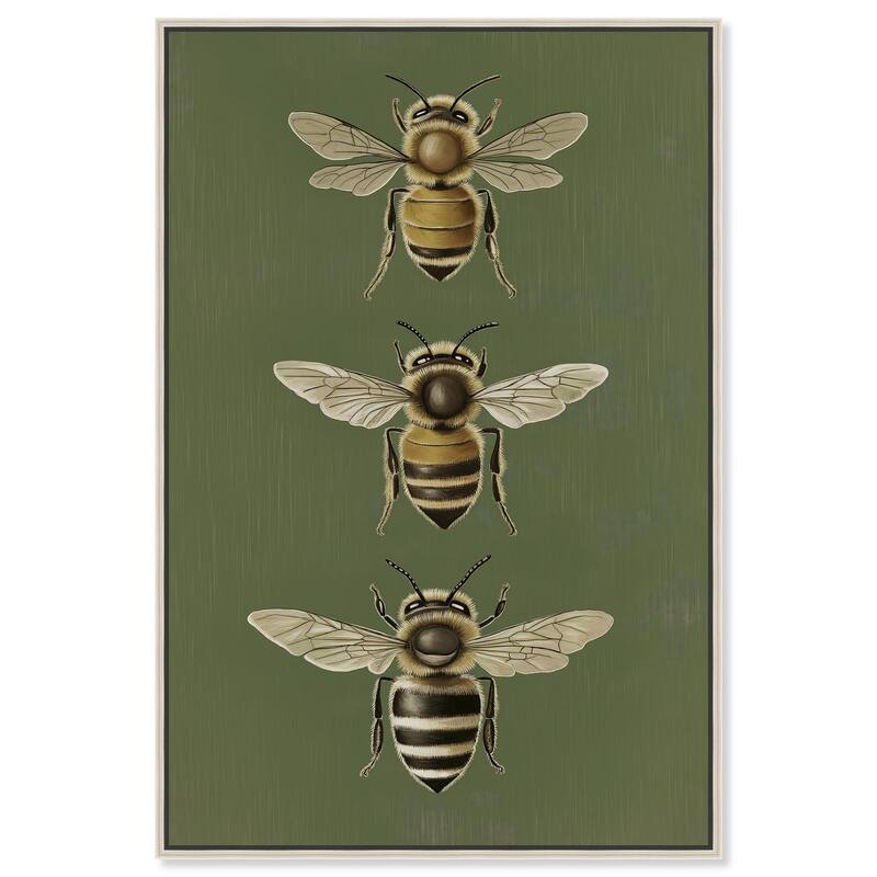 Anatomy of the Bee Canvas by Art Remedy - Silver - 10" x 15"