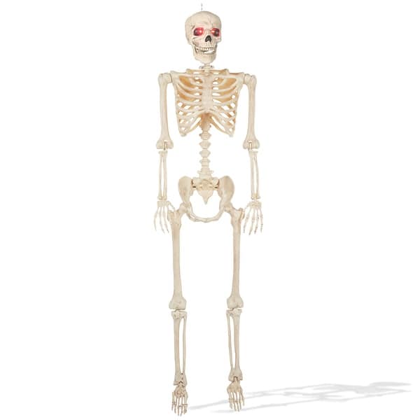 slide 2 of 6, 5ft Animated Full Size Halloween Skeleton w Lightup Eyes and Speaker Multi