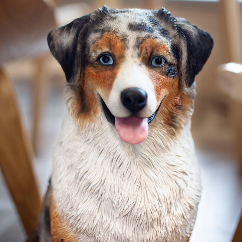 Australian Shepherd Puppy Outdoor Garden Statue - 19.75" - White and Brown