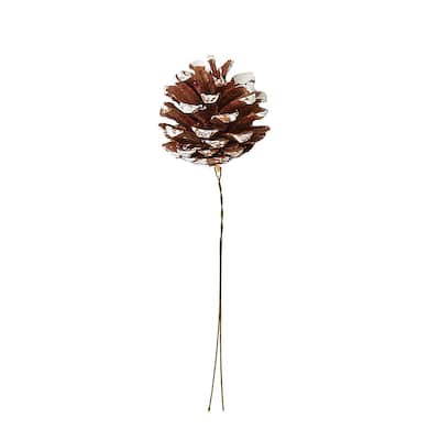 3" White Tip Pine Cone Pick, Set of 12 - 8