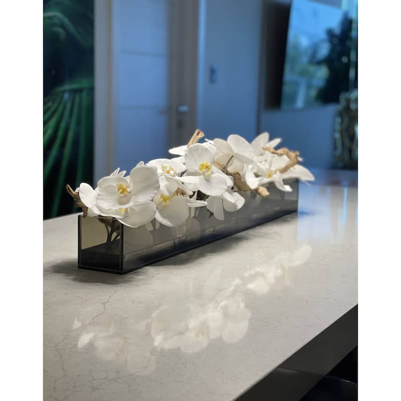 36 Inch Casa Moderna Black Tinted Glass Plate Planter with white Phalaenopsis orchids
