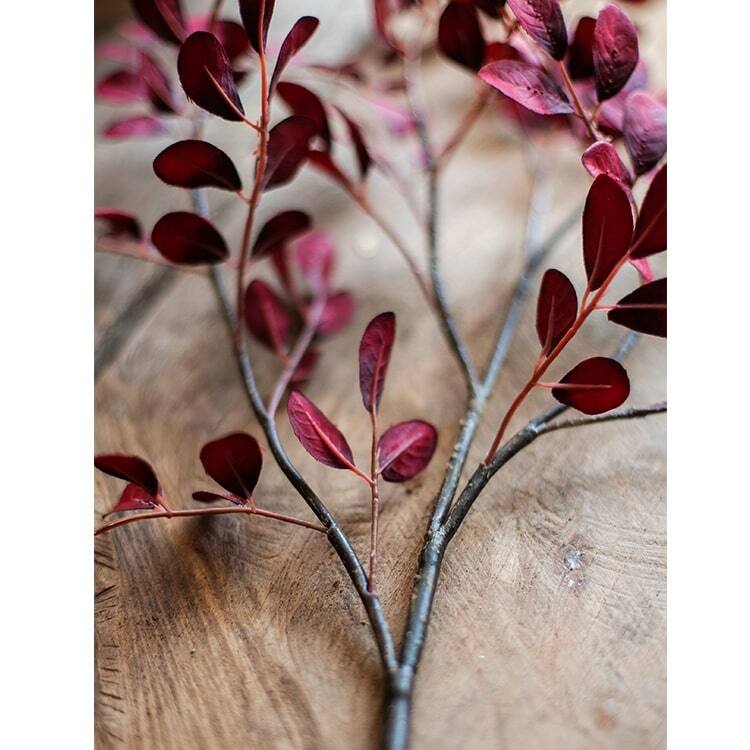 RusticReach Red Tzu Tan Leaf Stem 42" Tall