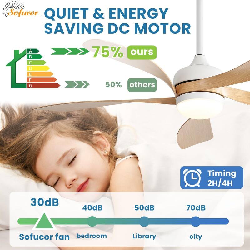 52 Inch Ceiling Fan with Remote & Lights Quiet DC Motor 5 Blade High CFM Modern Fan
