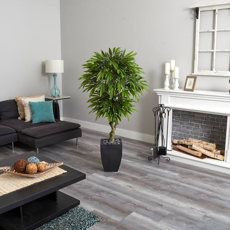 5.5ft Mango Artificial Tree in Black Wash Planter with UV Resistant Green Leaves and Gnarled Trunk for Modern Spaces