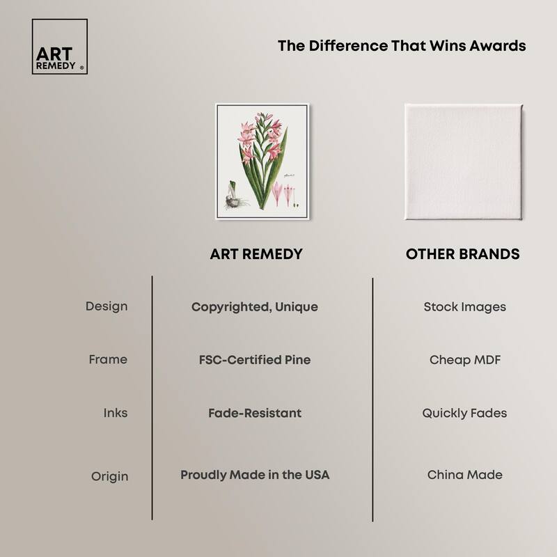 Gladiolus Carneus Canvas by Art Remedy