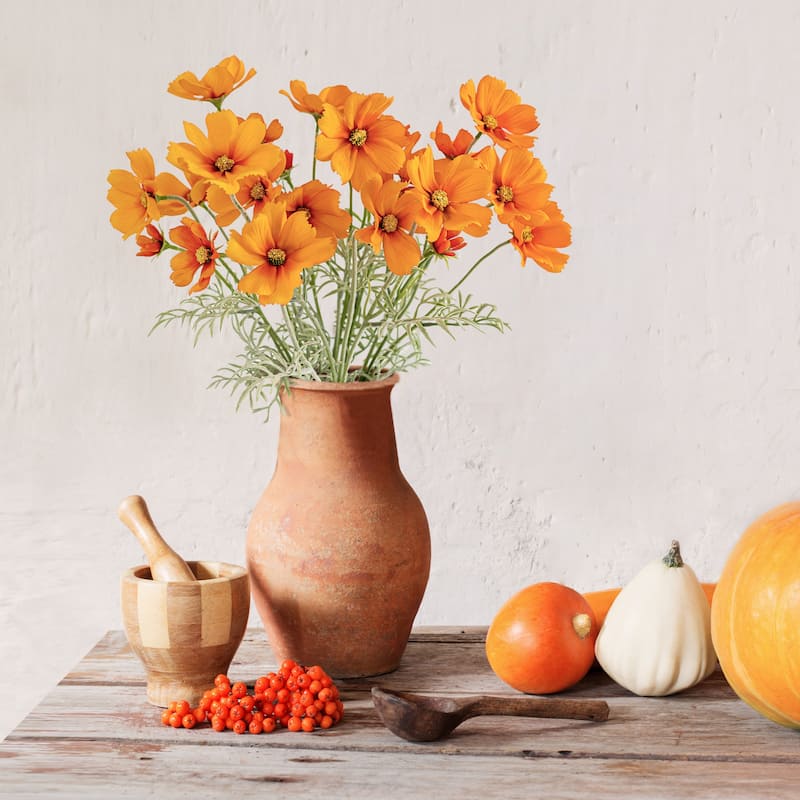 Orange Silk Decorative Artificial Cosmos Faux Flowers