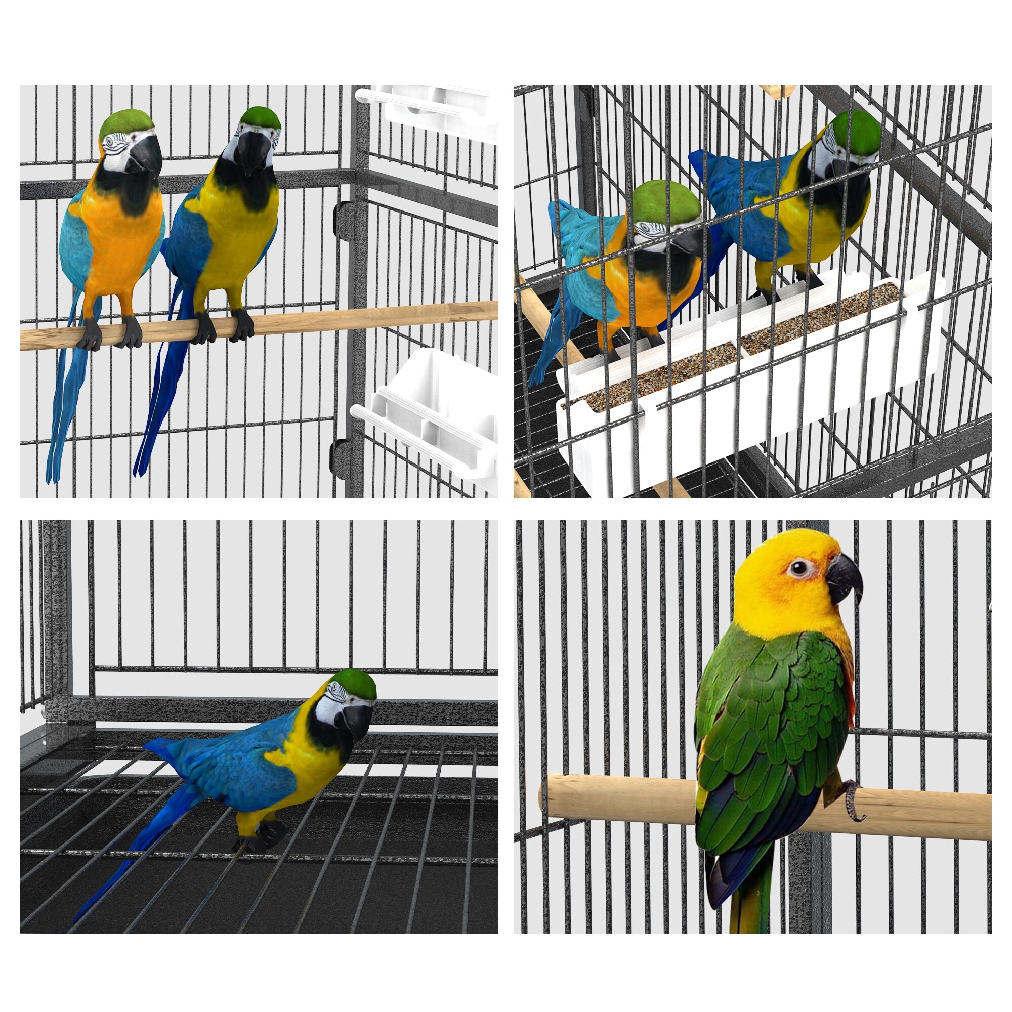 Iron bird shop cage for sale