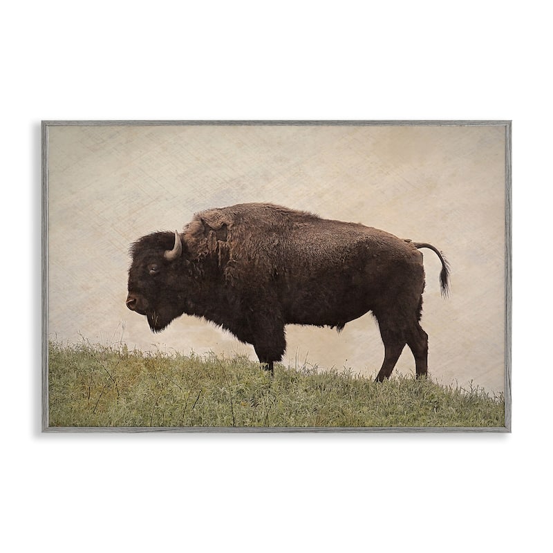 Stupell Serene Buffalo on Country Hill Framed Giclee Art Design By Steve Toole - 18 x 12 - Grey