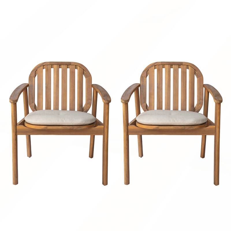 Modern Dining Chair With Cushion Set of 2