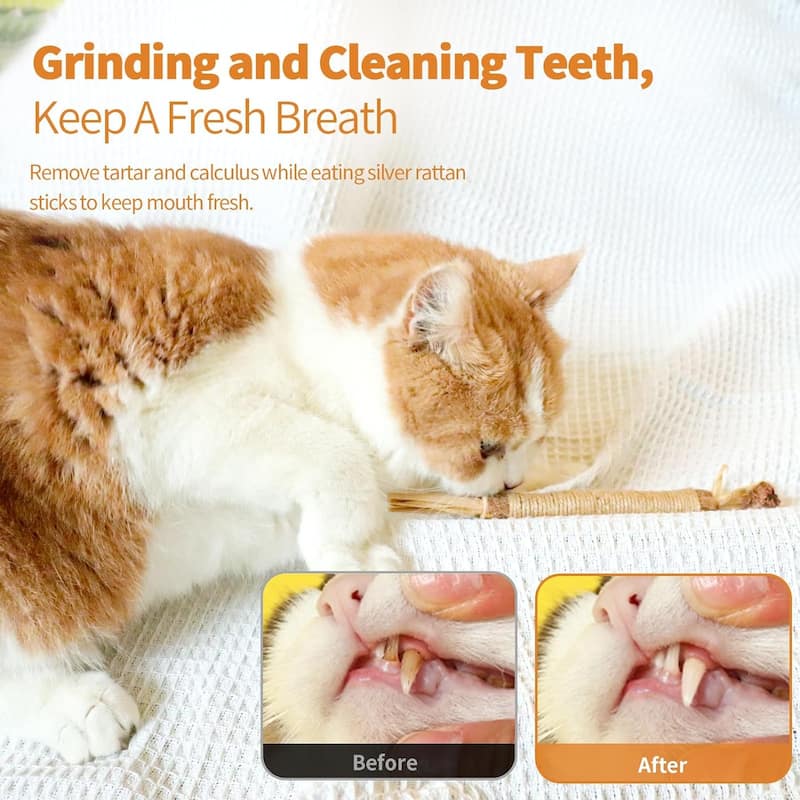 Cat Scratching Silvervine Sticks, Chew Stick Toys