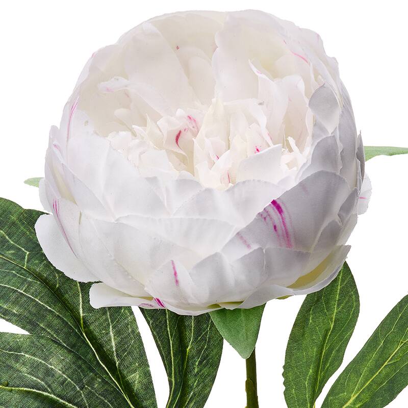 21" Lovely Peony Stem Set of 3