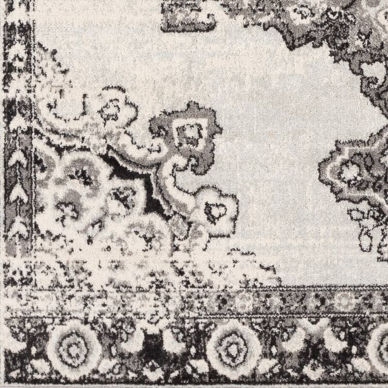 Livabliss Alodia Vintage Bohemian Medallion Area Rug