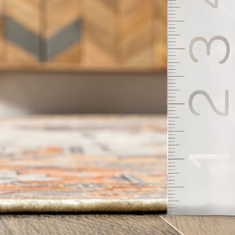 Nuloom Cira SpinClean Traditional Vintage Machine Washable Area Rug