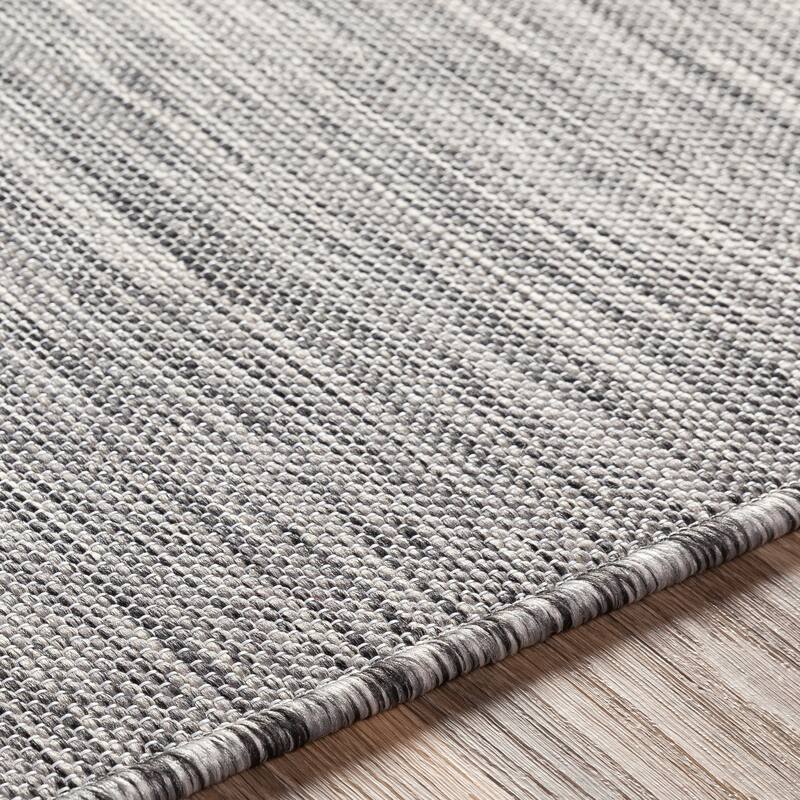 Sabine Indoor / Outdoor Heathered Area Rug