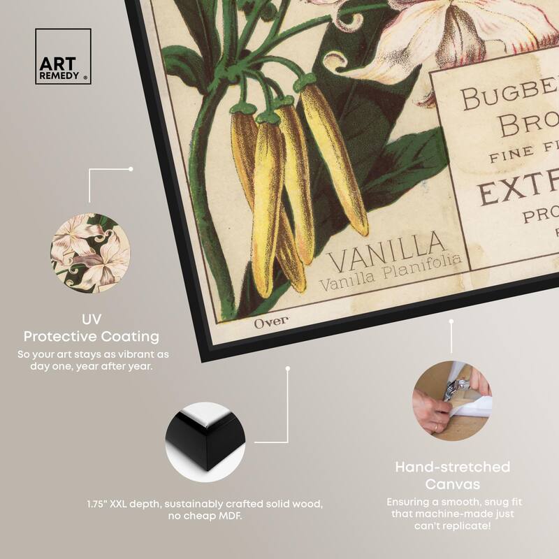 Vanilla Planifolia Canvas by Art Remedy