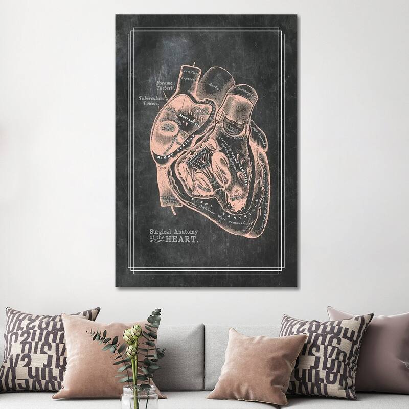 iCanvas "Surgical Anatomy Of The Heart" by ChartSmartDecor Canvas Print