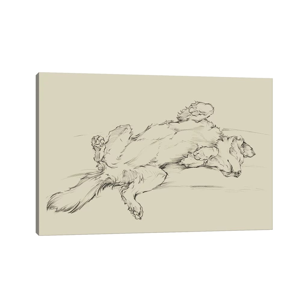 iCanvas "Dog Tired III" by Ethan Harper Canvas Print