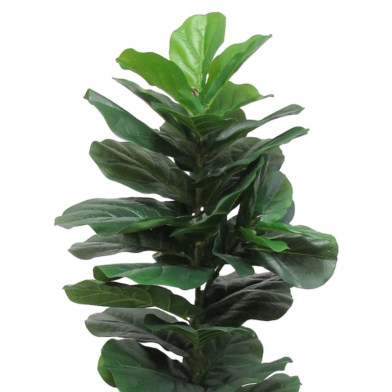 3.5ft Real Touch Artificial Fiddle Leaf Fig Tree Plant in Black Pot - 40" H x 20" W x 20" DP