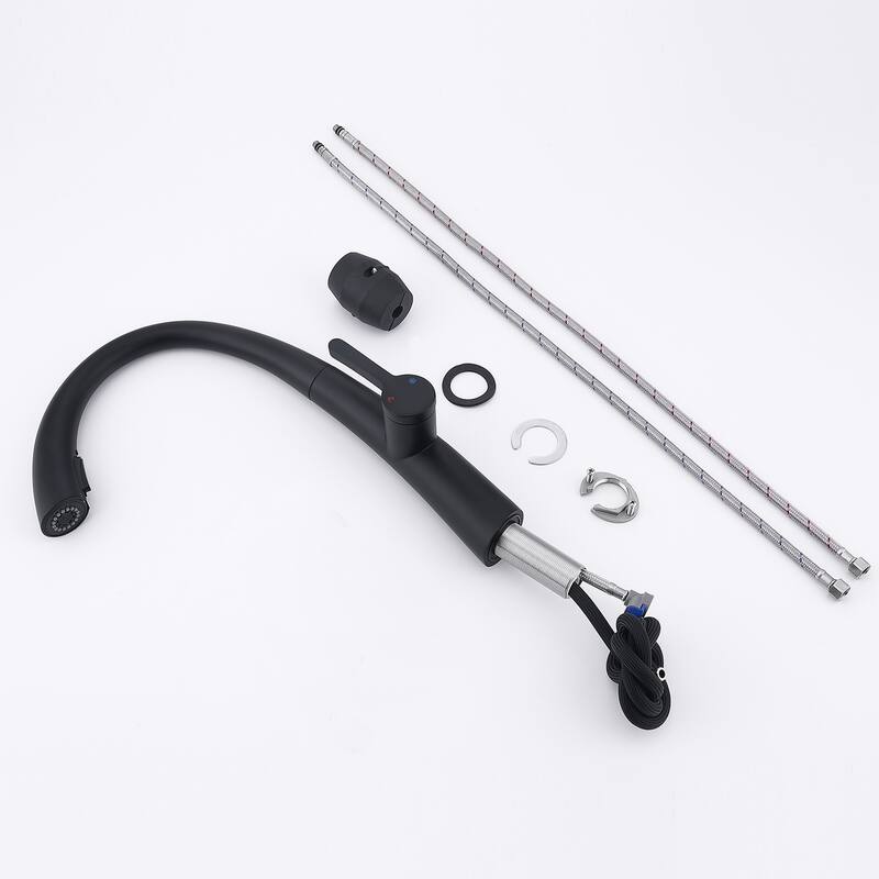 Topcraft Stainless Steel Single Handle Pull-Out Kitchen Faucet
