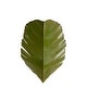 preview thumbnail 2 of 8, Varaluz Banana Leaf Wall Sconce - 2-Light - Banana Leaf