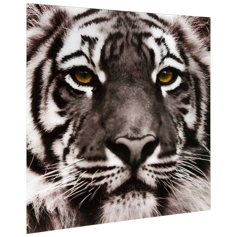 "Eye of the Tiger" Frameless Free Floating Tempered Glass Panel Graphic Wall Art