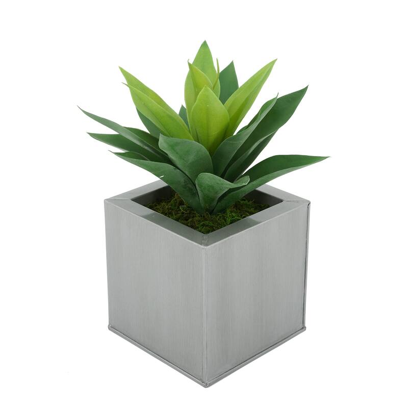 Faux Frosted Light Green Succulent in Square Zinc Planter - Silver