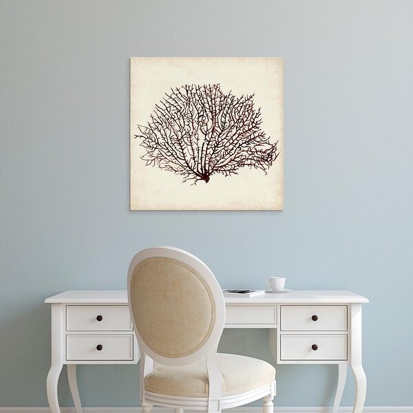 Easy Art Prints Naomi McCavitt's 'Seaweed Specimens XII' Premium Canvas Art