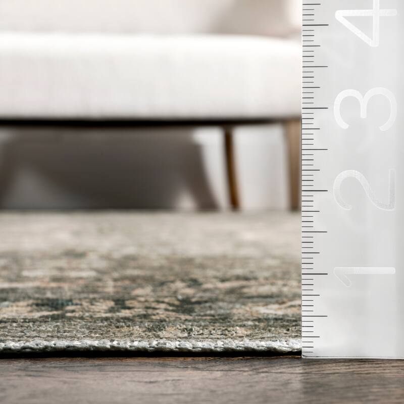 Bayberry Vintage Machine Washable Area Rug