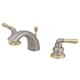 Option Brushed Nickel/Polished Brass