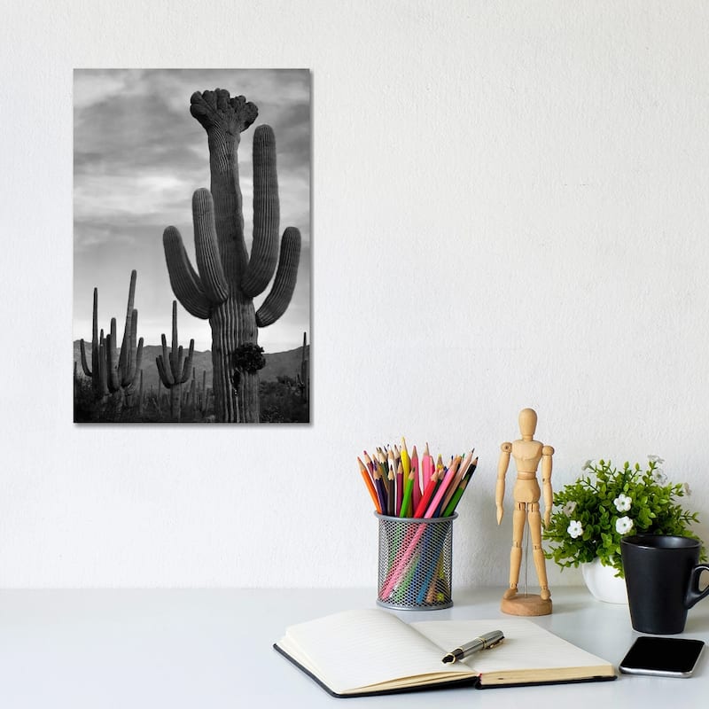 iCanvas "Saguaros, Saguaro National Monument" by Ansel Adams Canvas Print - 12x8x0.75