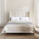 Option Ivory