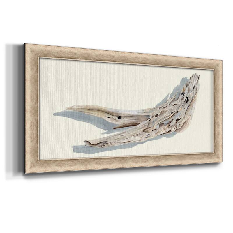 Driftwood Study III Premium Framed Canvas- Ready to Hang