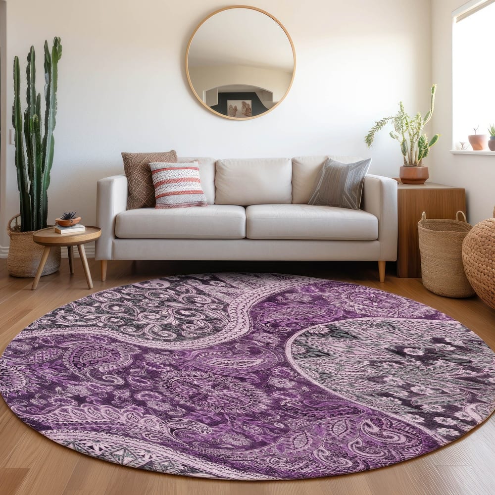Machine Washable Indoor/ Outdoor Modern Paisley Chantille Rug
