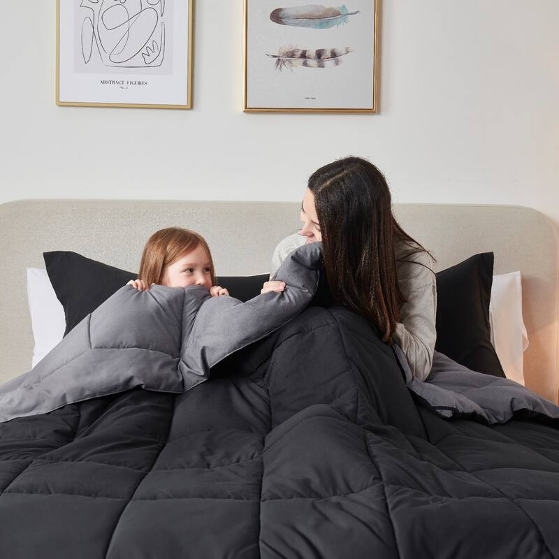 Empyrean All Season Alternative Down Lightweight Reversible Comforter Set