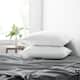 Bed Pillows