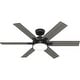 preview thumbnail 7 of 16, Hunter 52" Georgetown ENERGY STAR® Ceiling Fan w/ LED Light, Remote - Contemporary - Easy Install!