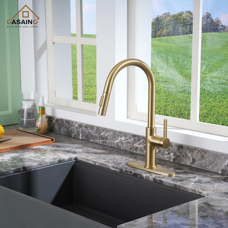 Single Handle Pull-Down Sprayer Kitchen Faucet