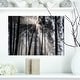 preview thumbnail 10 of 10, Sunbeams through Black White Forest - Forest Canvas Wall Art Print 20 in. wide x 12 in. high