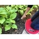 preview thumbnail 7 of 27, 2.1 Gallon Traditional Metal Watering Can with 20"L x 12.25"W Memory Foam Kneeling Cushion