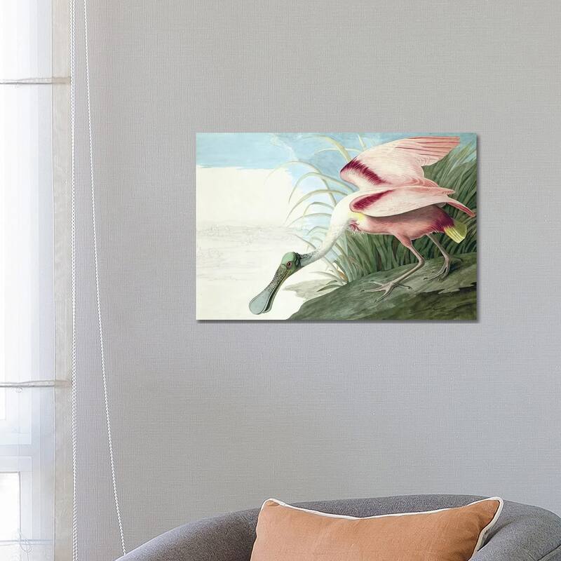 iCanvas "Roseate Spoonbill, The Birds Of America" by John J. Audubon, pub. 1827-38" by John James Audubon Canvas Print - 18x26x1.5