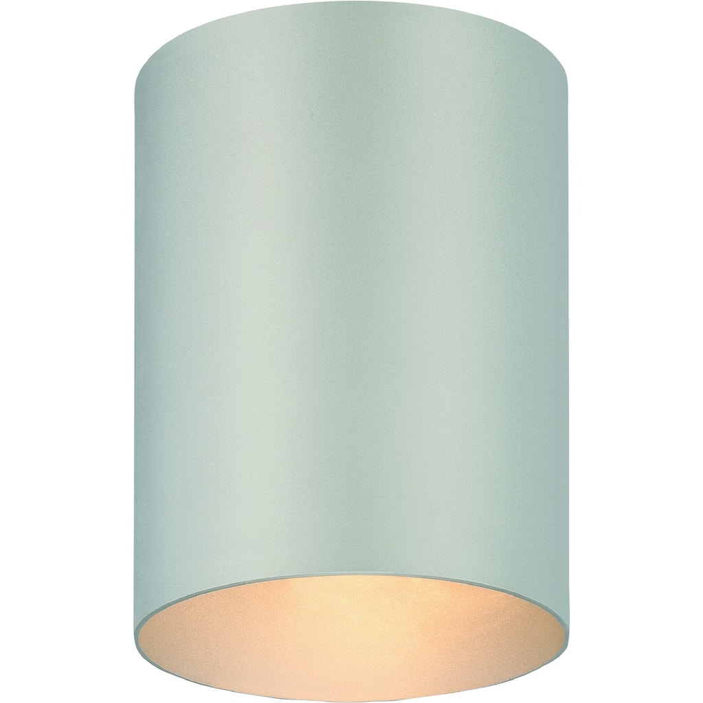 Volume Lighting 1-Light Silver Gray Outdoor Cylinder Flush Mount
