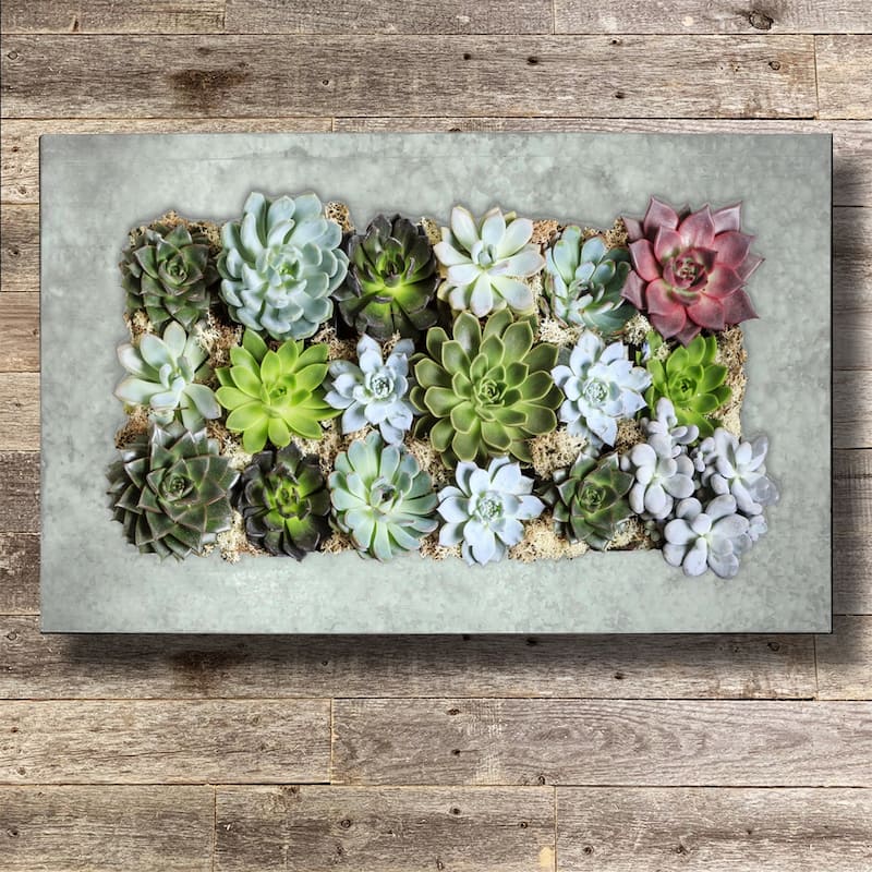 Modern Home Living Wall Galvanized Steel/Zinc Succulent Planter, Wall Mounted Garden Pocket Planter (Horizontal 18 Pocket - Aged Zinc