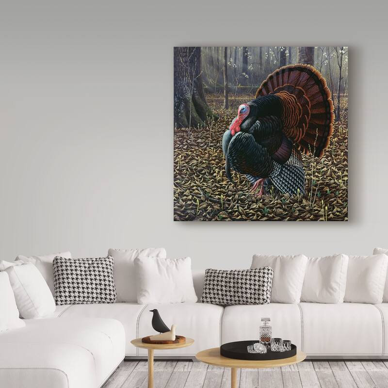 Wilhelm Goebel 'The King Of Spring Wild Turkey' Canvas Art