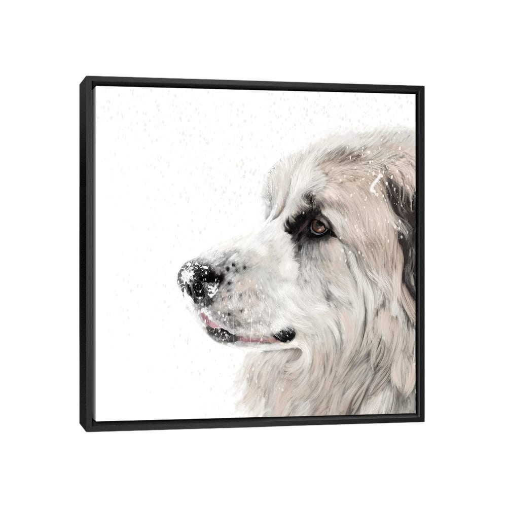 iCanvas "Great Pyrenees" by Vicki Newton Framed