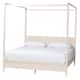 Option Ivory