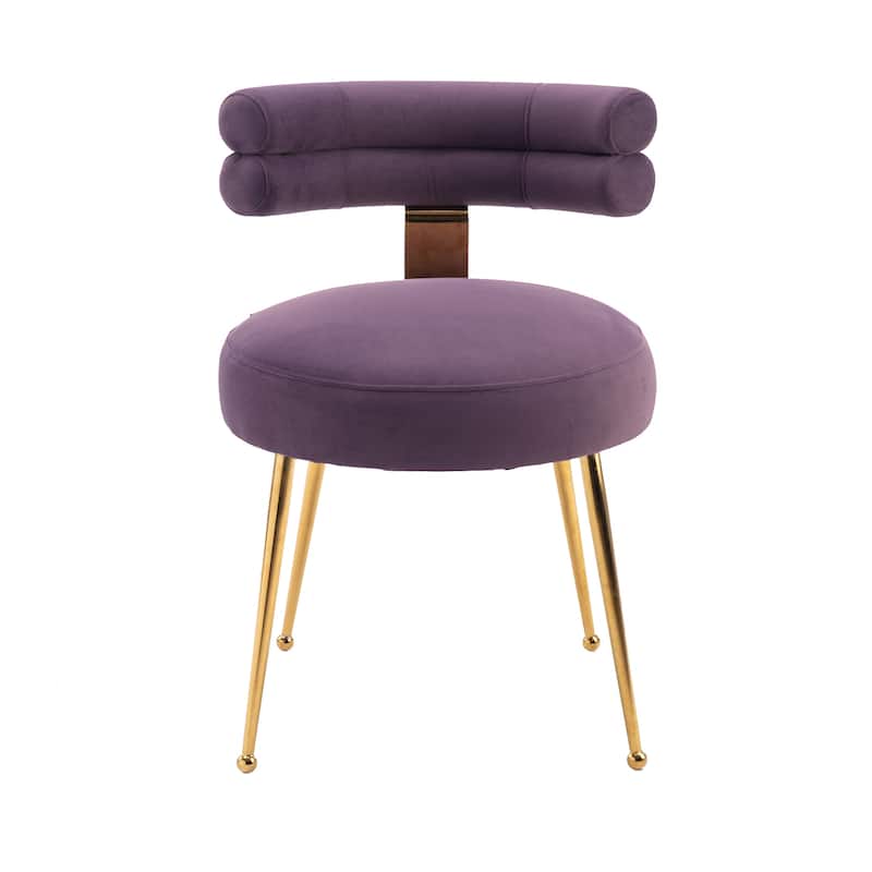 Velvet Upholstered Tubulous Side Dining Chair with Golden Legs(set of 2)
