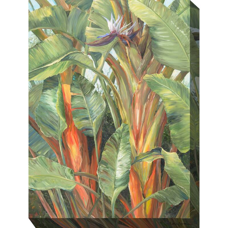 Hidden Paradise 2