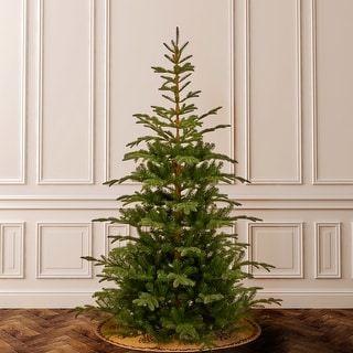 National Tree Company 7.5' Norwegian Spruce Christmas Tree - 7.5 Foot