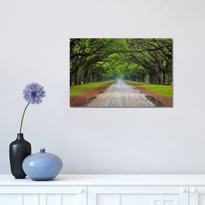 iCanvas "Oak Avenue, Wormsloe Plantation, Savannah, Georgia, USA" by Joanne Wells Canvas Print