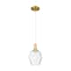 Option Clear / Satin Gold
